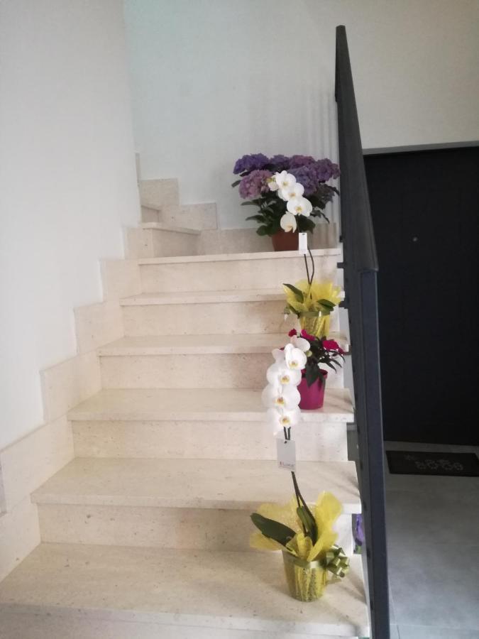 Adagiostay Elmas Экстерьер фото